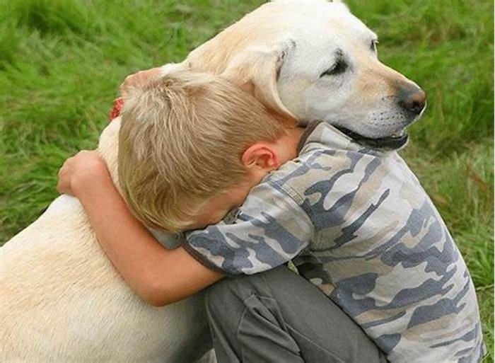 Do Labradors like being hugged