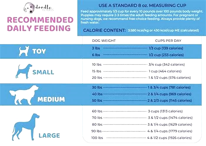 How much should I feed my 30kg Labrador