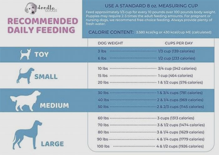 How much should a 40 kg Labrador eat?