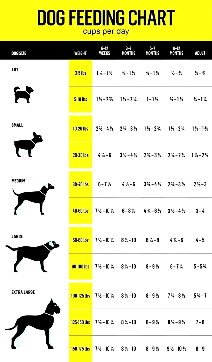 How much to feed a dog by weight in kg?