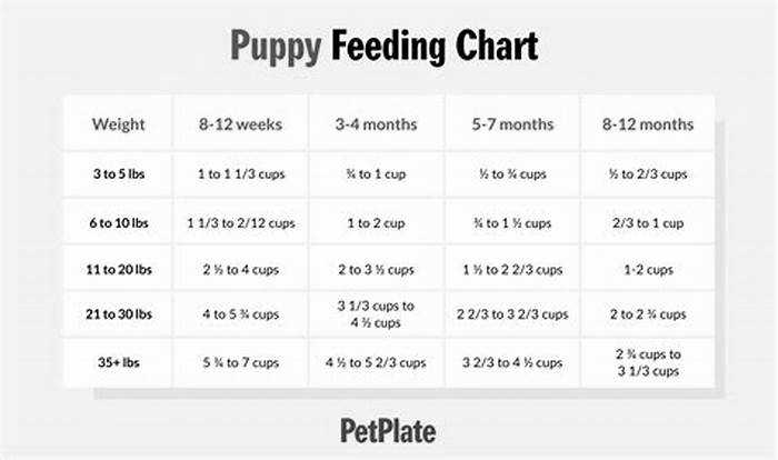 Is 2 cups of food enough for a golden retriever?