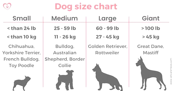 Is 45kg big for a dog?