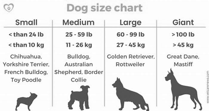 Is a 10kg dog small or medium?