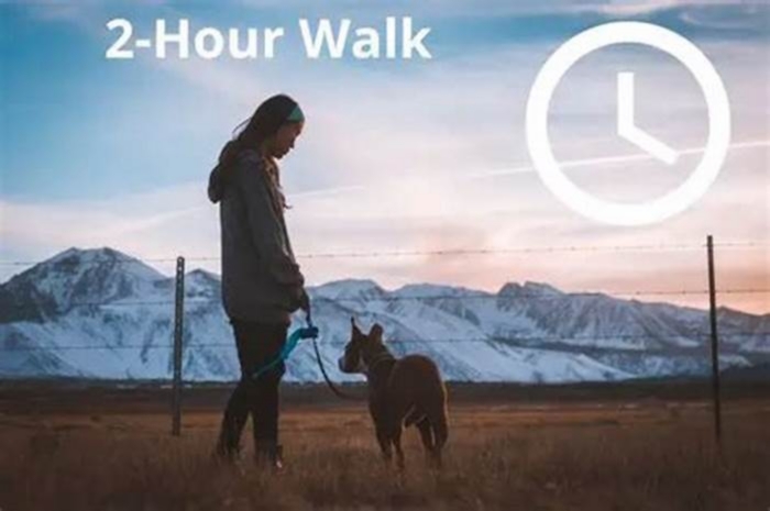 Is a 2 hour walk too long for a dog?