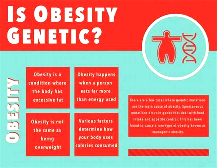 Is obesity genetic?