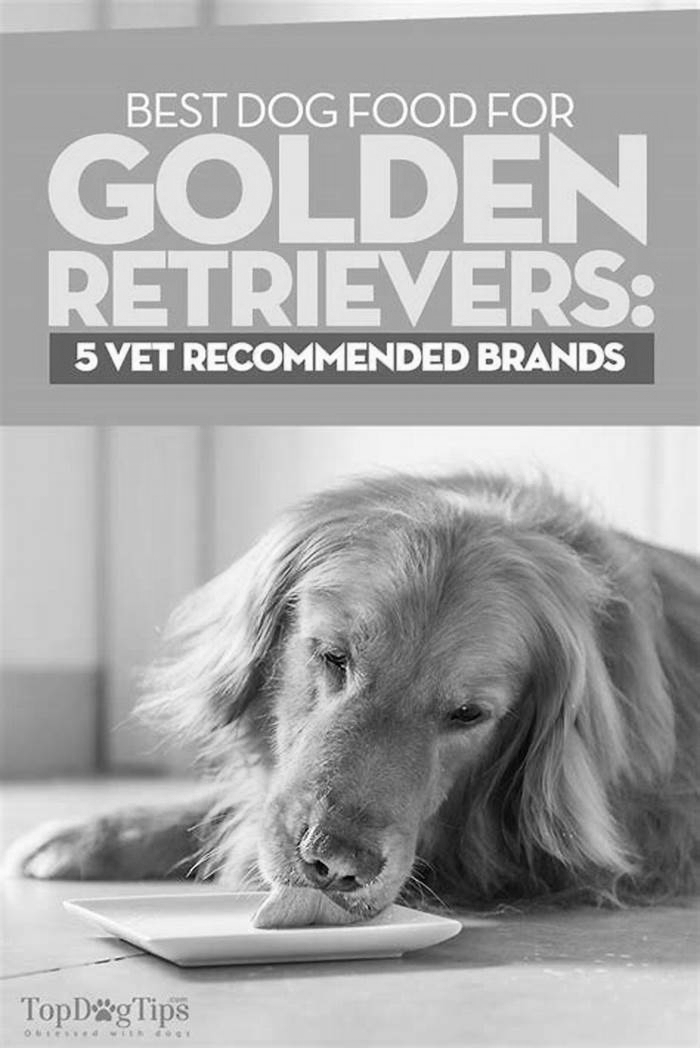 What is the best food for Golden Retrievers to lose weight?