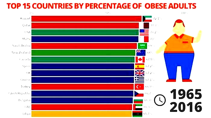 What is the fattest developed country in the world