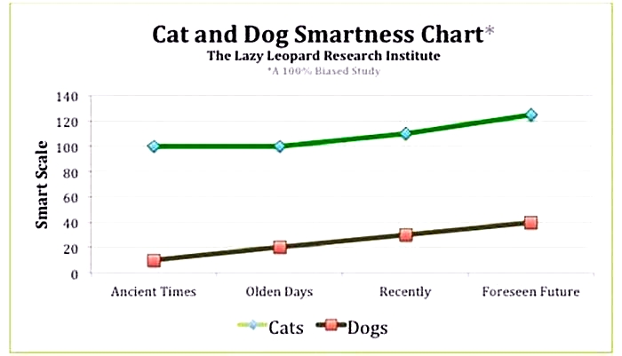 Who has higher IQ cats or dogs?