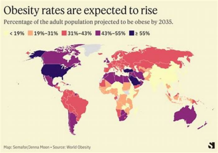 Why is obesity low in Japan